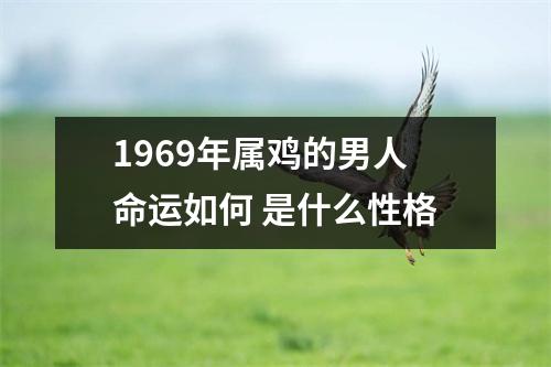 1969年属鸡的男人命运如何是什么性格