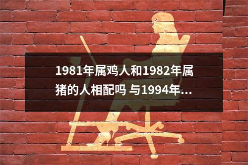 1981年属鸡人和1982年属猪的人相配吗与1994年属狗相配吗