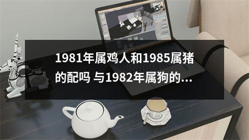 1981年属鸡人和1985属猪的配吗与1982年属狗的婚姻如何