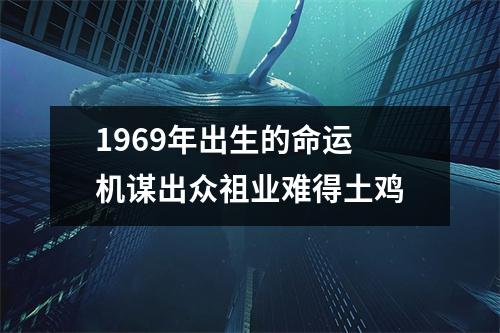 1969年出生的命运机谋出众祖业难得土鸡
