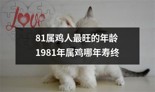 81属鸡人旺的年龄1981年属鸡哪年寿终