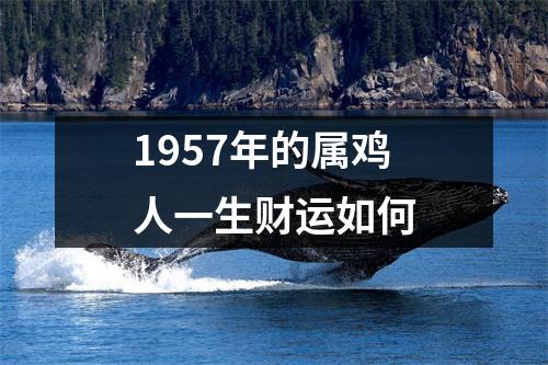 1957年的属鸡人一生财运如何