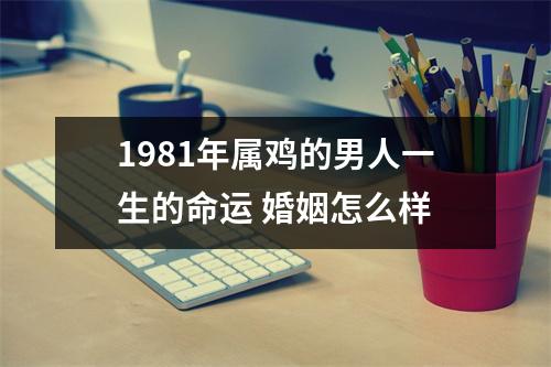 1981年属鸡的男人一生的命运婚姻怎么样