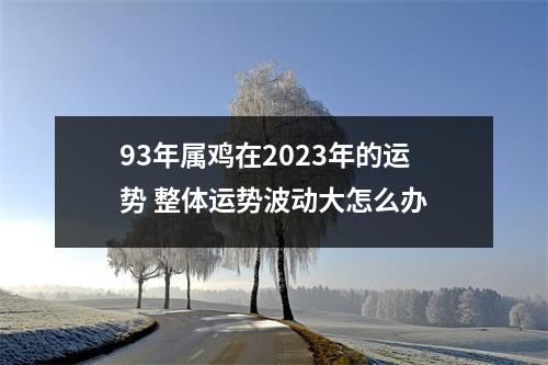 93年属鸡在2025年的运势整体运势波动大怎么办