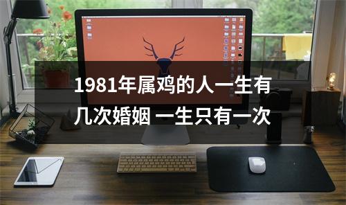 1981年属鸡的人一生有几次婚姻一生只有一次