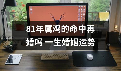 81年属鸡的命中再婚吗一生婚姻运势