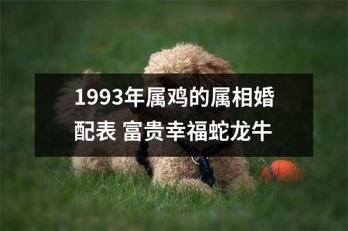 1993年属鸡的属相婚配表富贵幸福蛇龙牛