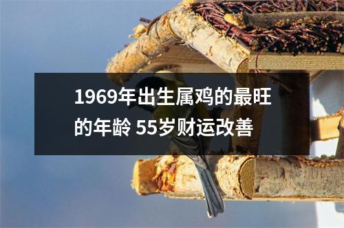 1969年出生属鸡的旺的年龄55岁财运改善