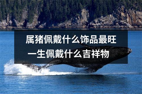 属猪佩戴什么饰品旺一生佩戴什么吉祥物