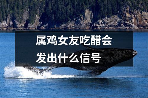 属鸡女友吃醋会发出什么信号