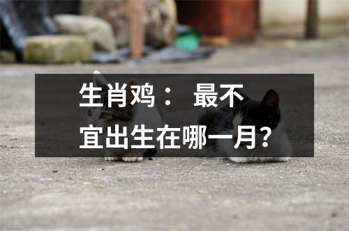 生肖鸡：不宜出生在哪一月？