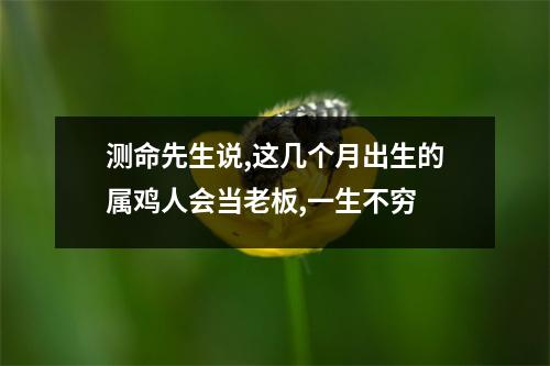 测命先生说,这几个月出生的属鸡人会当老板,一生不穷