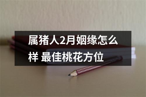 属猪人2月姻缘怎么样佳桃花方位