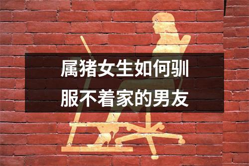 属猪女生如何驯服不着家的男友