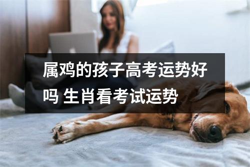 属鸡的孩子高考运势好吗生肖看考试运势