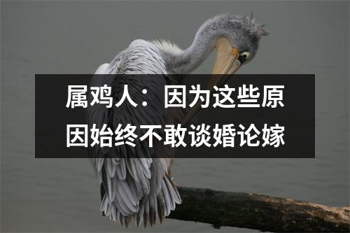 属鸡人：因为这些原因始终不敢谈婚论嫁