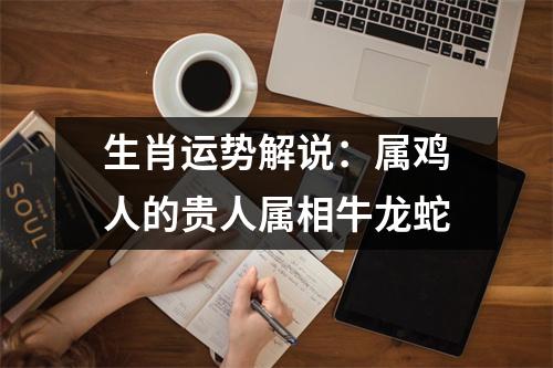 生肖运势解说：属鸡人的贵人属相牛龙蛇