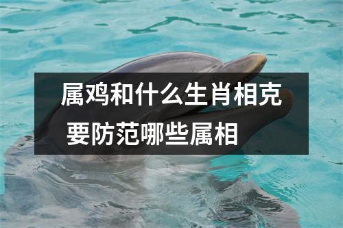 属鸡和什么生肖相克要防范哪些属相