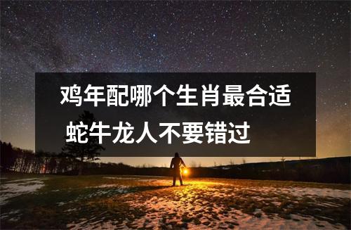 鸡年配哪个生肖合适蛇牛龙人不要错过