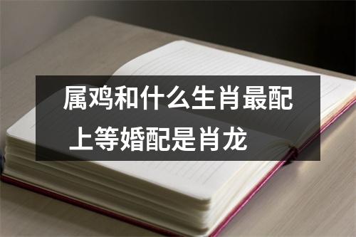 属鸡和什么生肖配上等婚配是肖龙