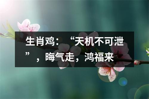 <h3>生肖鸡：“天机不可泄”，晦气走，鸿福来