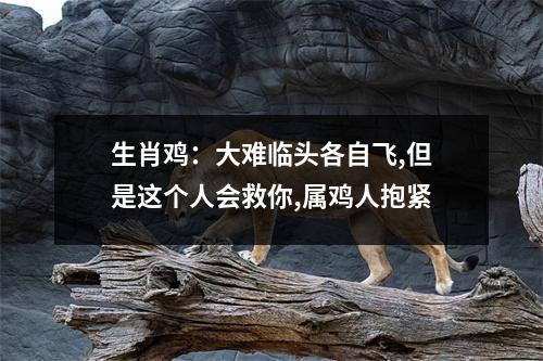 生肖鸡：大难临头各自飞,但是这个人会救你,属鸡人抱紧