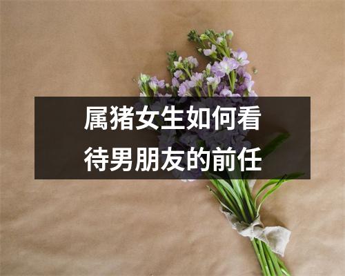 属猪女生如何看待男朋友的前任