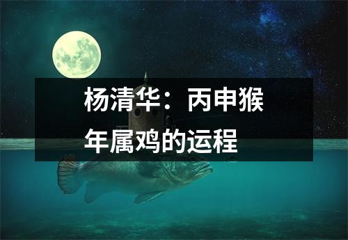 杨清华：丙申猴年属鸡的运程