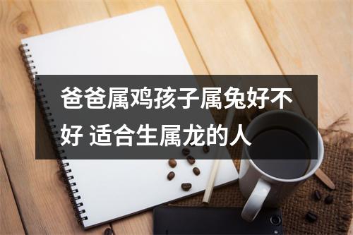 爸爸属鸡孩子属兔好不好适合生属龙的人