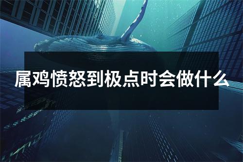 属鸡愤怒到极点时会做什么