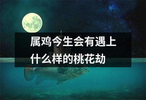 属鸡今生会有遇上什么样的桃花劫