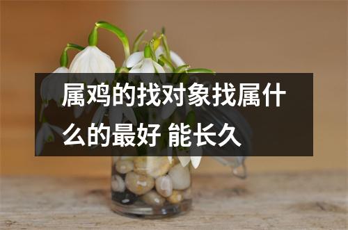 属鸡的找对象找属什么的好能长久