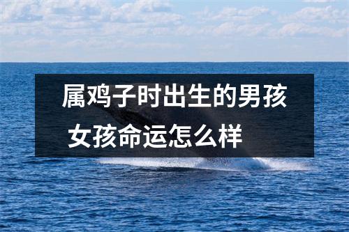属鸡子时出生的男孩女孩命运怎么样