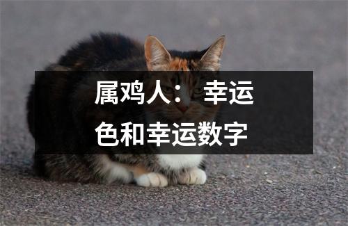 属鸡人：幸运色和幸运数字