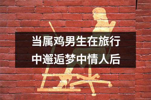 当属鸡男生在旅行中邂逅梦中情人后
