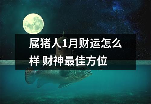 属猪人1月财运怎么样财神佳方位