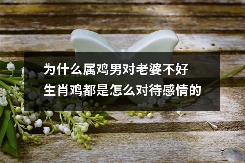 为什么属鸡男对老婆不好生肖鸡都是怎么对待感情的