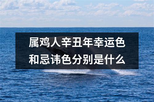 属鸡人辛丑年幸运色和忌讳色分别是什么