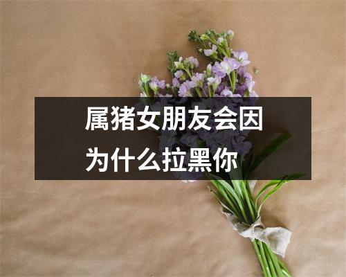 属猪女朋友会因为什么拉黑你