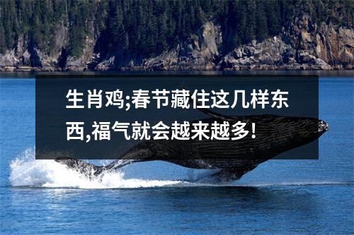 生肖鸡;春节藏住这几样东西,福气就会越来越多!