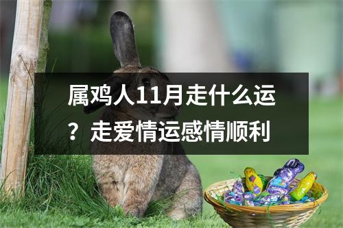 属鸡人11月走什么运？走爱情运感情顺利