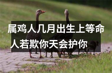 属鸡人几月出生上等命 人若欺你天会护你