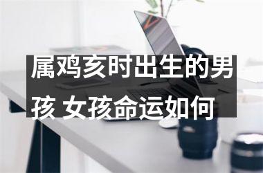 属鸡亥时出生的男孩 女孩命运如何