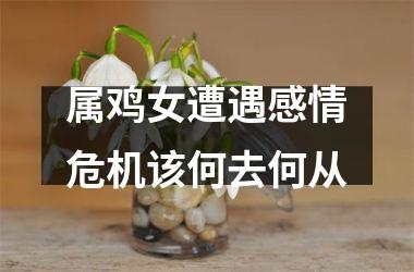 属鸡女遭遇感情危机该何去何从