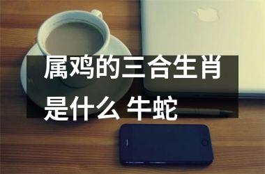 <h3>属鸡的三合生肖是什么 牛蛇