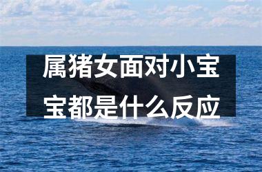 属猪女面对小宝宝都是什么反应