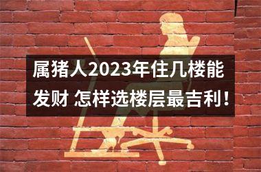 属猪人2025年住几楼能发财 怎样选楼层吉利！