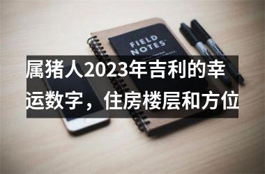 <h3>属猪人2025年吉利的幸运数字，住房楼层和方位