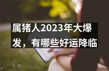 属猪人2025年大爆发，有哪些好运降临