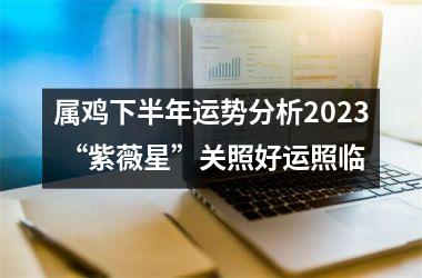 属鸡下半年运势分析2025 “紫薇星”关照好运照临